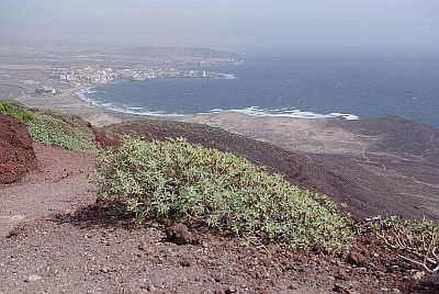 walking in Tenerife 3
