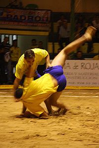 Canarian wrestling